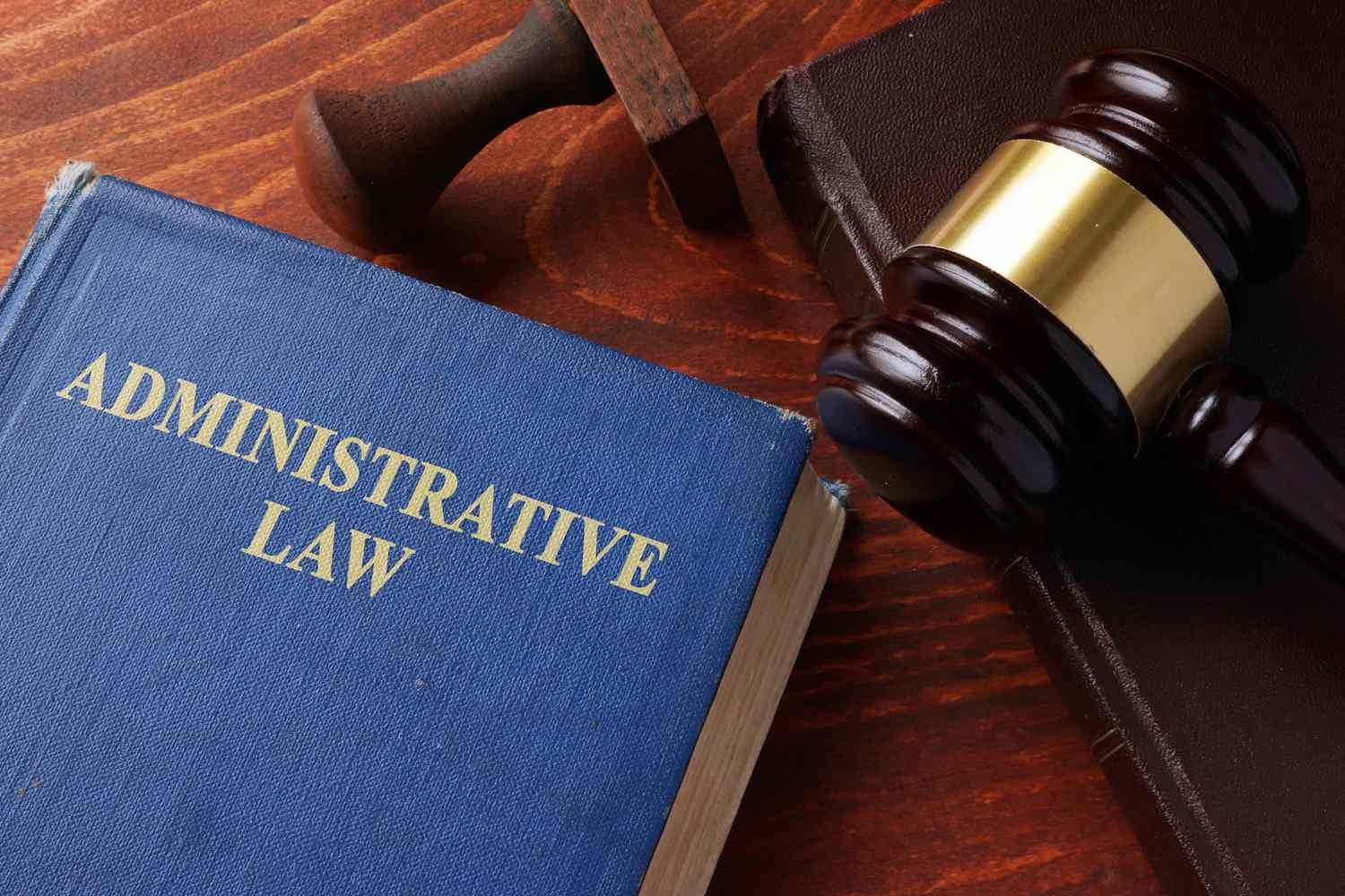 What Is Administrative Law? Definition and Examples